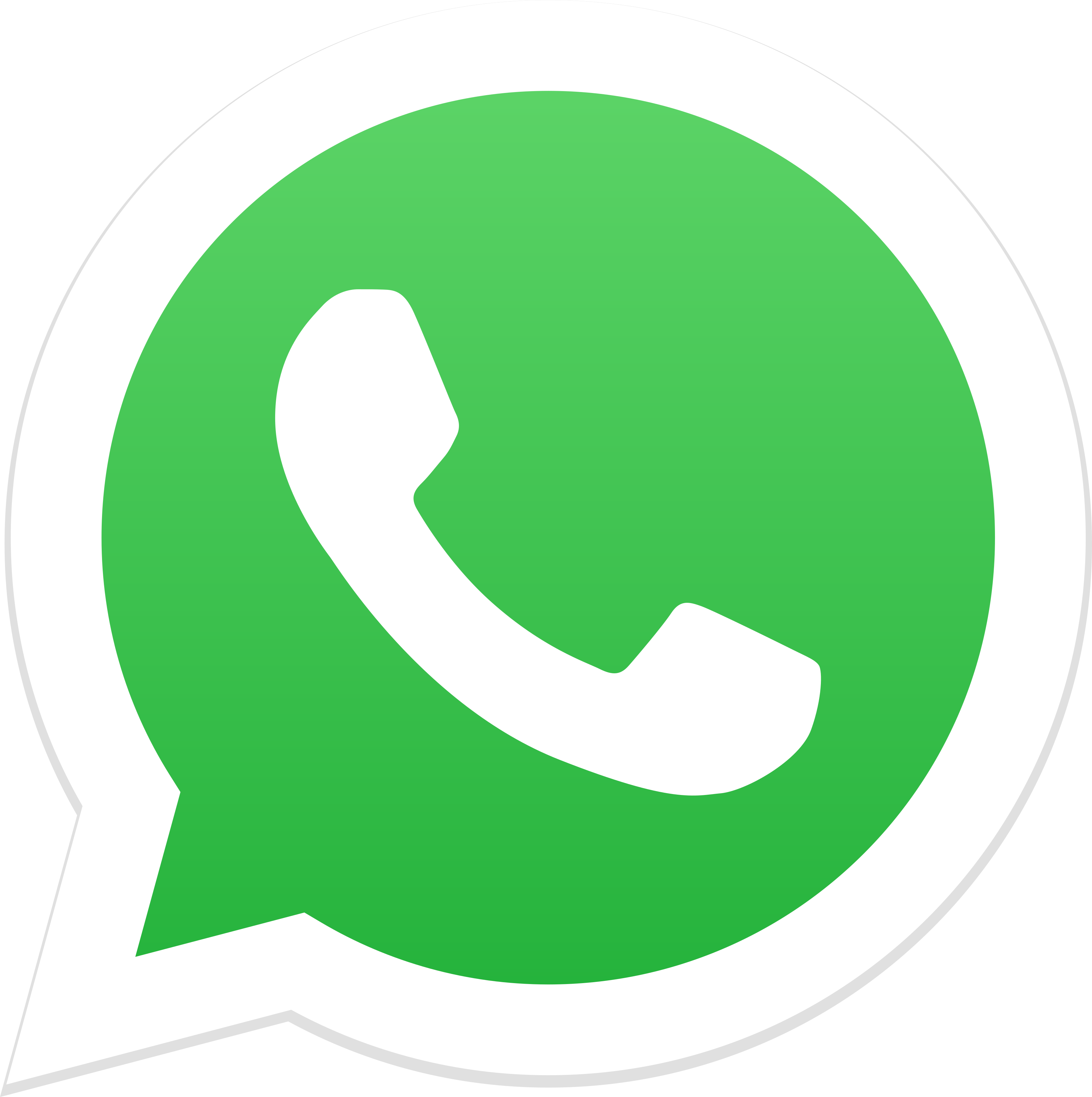 Whatsapp Asociación de Parteras